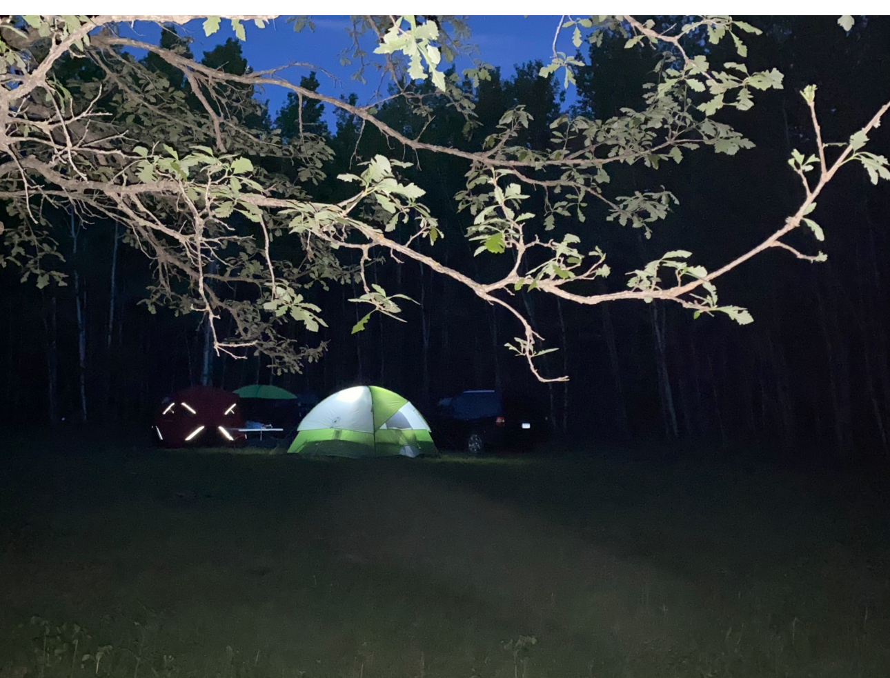Tents glowing at night